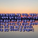 멋진친구 Daum카페