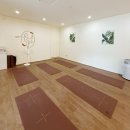 요가B  심신단련요가 | [덕소역요가] 덕소요가 추천 요가초보 로사요가 릴렉스 수업 후기