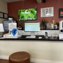 몸바로한의원 | 샌디에고 한의원 추천_MBR Acupuncture (몸바로 한의원), 가격