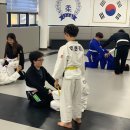 미르 주짓수 유도관 이미지