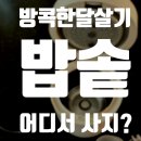 [방콕한달살기 준비물] 한달살기 밥솥, 2인용 밥솥 구매 및 가격 비교 후기