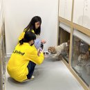 옐레드 부천 신중동점 | 부천애견유치원 옐레드 부천신중동점에서 내 반려견 유치원 등록후기
