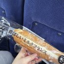 고고피씨방 | 도쿄여행(2) 마이리얼트립 고고데이 후지산 버스투어 (로손편의점 히카와시계점 오시노핫카이) - 점심비추