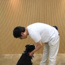 이리와 이미지