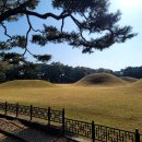 신라의 왕릉 이미지