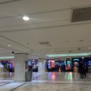 옷거리 | <미국/라스베가스>가성비 플라밍고 호텔 룸 2종류 후기(어트렉션 고 룸 아웃도어 뷰)