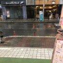 뚜레쥬르 신가점 | [11월 1일~7일/일상] 세상 사람들이 내 소비를 막는다 아이고