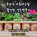 [공지] 부산의 아름다운섬 (영도방문기)