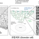 홈케어스토리 - 북구 하원지2길 5-2 | 홈케어스토리
