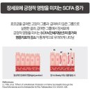 드림드롭스 | 시그니처바이 E.S. 프로바이오틱스 드롭스 후기