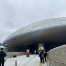 (주)닥터디자이너 | [동대문] DDP디자인페어 29CM전시 서울디자인위크 방문후기