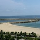 유천목장 | 속초에서 양양 그리고 평창까지🌲 (Feat. 인생 유천 막국수와 안개의 삼양목장)