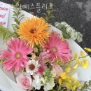 예스플리즈 이미지