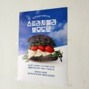 서초역 맛집 포카치아쿠치나 샌드위치 포장 후기｜멜란자네·파타타·제노베제 솔직 리뷰