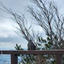 경주상사 | 경주터미널 근처 술집에서 상사와 마주친 직장인의 솔직한 후기 8월 12일