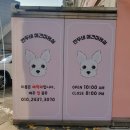 만두네 애견미용실 네이버블로그
