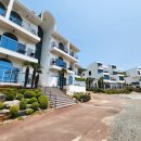 야자수펜션 스파오션뷰 이미지