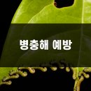 유동농장 이미지