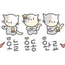 매교복싱 이미지