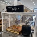 서라벌 | 경주 외동 한식돈까스 뷔페 서라벌 다녀온 후기