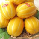 수야농장 이미지