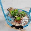 대구효령초등학교 이미지