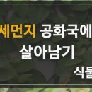 타이어공화국 이미지