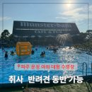 문산4-3간이배수펌프장 | 운정 야외 수영장 서울근교 취사 반려견 동반 물놀이 파주 뮌스터담 명당자리 이용요금
