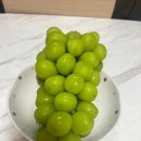 해찬농장 이미지