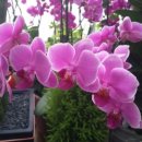 은혜행정사사무소 이미지