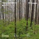 안산을 그리다, 어반스케치 | [봄마실] 홍제 폭포 수변카페에서 어반스케치 그리다