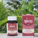 타리 | 혈관 건강 신경 쓰는 남편 위해 찾아본 펩타린 바이오슬림환 1주일 솔직 후기