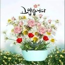 대도요양보호사교육원 네이버블로그