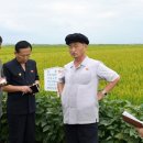 미곡농장 이미지