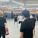 팀매드 대구 최두호짐 | 대구 중구 종합격투기 주짓수 킥복싱 팀매드 최두호짐 (1월2째주 수업)