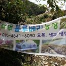 김영택농장 이미지