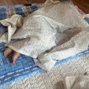 강물놀이터 이미지