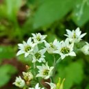 공암나루근린공원 이미지