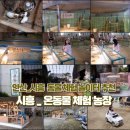 동지농장 | [일 상] 안산, 시흥, 배곧 주말 아이와 함께 할 수 있는 체험형 동물농장 추천_온동물 체험농장