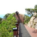 곡성-221 이미지