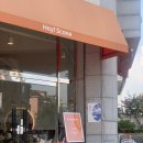 헤이!스콘(Hey!Scone)