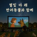 별빛댕댕