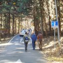 벌용동 사무소 이미지