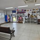 풍물·난타 | 6세 아이와 함께한 '더 케이쇼+낙타 트래킹' 완전 추천!