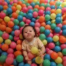 돌과 바람 리조트 | 내돈내산) 돌아기랑 나트랑여행 오션뷰 5성급 알마리조트 깜란 후기