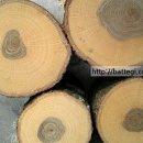 보현농장 이미지