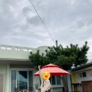 별바당 이미지