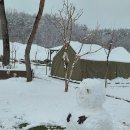 강원도힐링캠핑장 | 눈 내린 겨울 감성 가득했던 강원도 고성 라벤더캠핑장 힐링 캠핑 후기