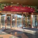 씨가든 | 속초라마다호텔 내돈내산 스탠다드 더블 오션뷰 일출 카페씨가든 후기