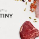 신선화학